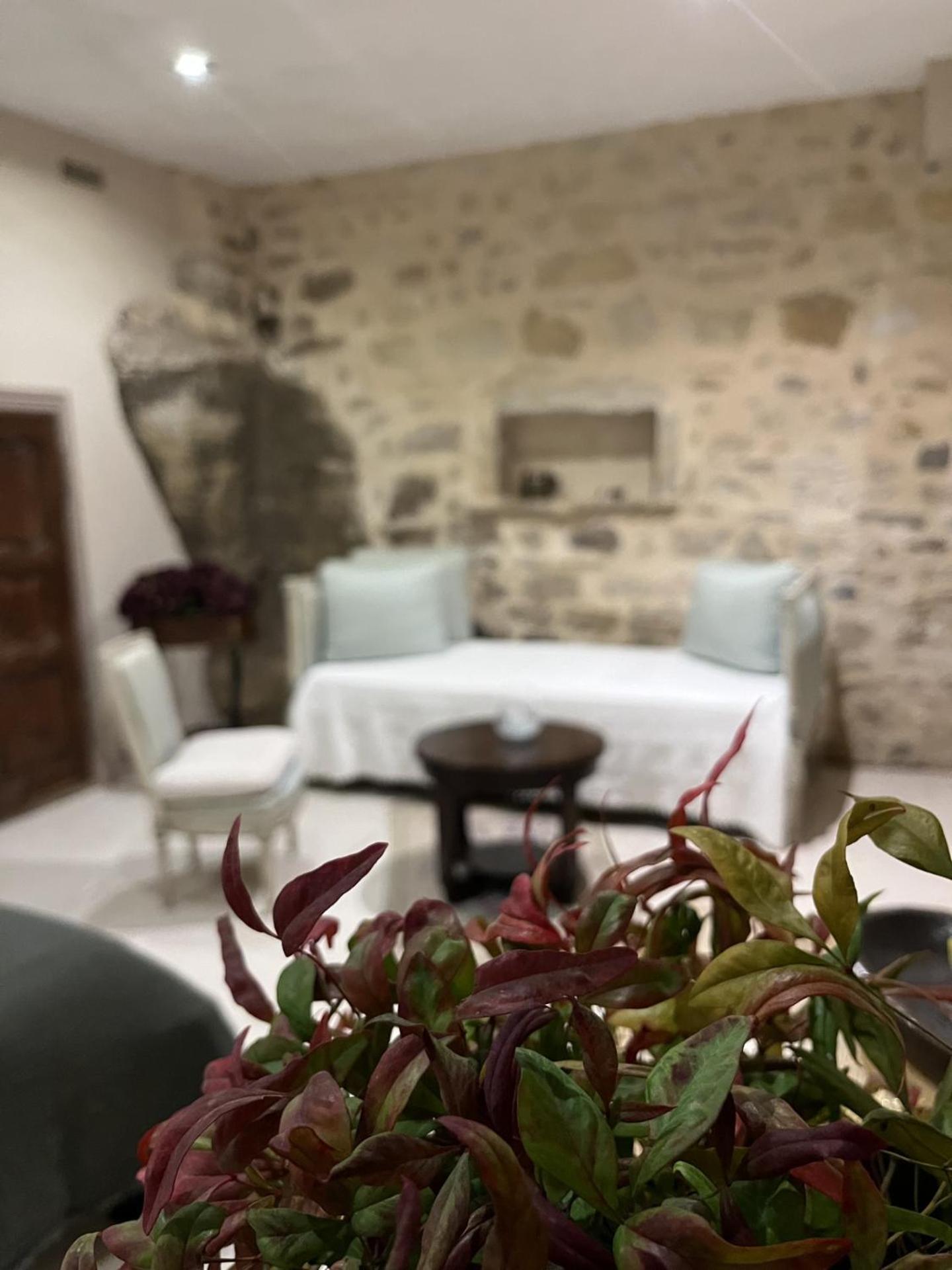 Le Logis D'Hortense Vic-le-Comte Экстерьер фото